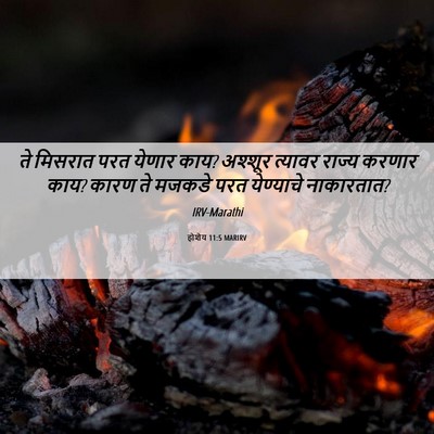 Picture 06 - होशेय 11:5 MARIRV - ते मिसरात परत - Bible Verse Picture