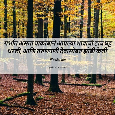 Picture 06 - होशेय 12:3 MARIRV - गर्भात असता - Bible Verse Picture