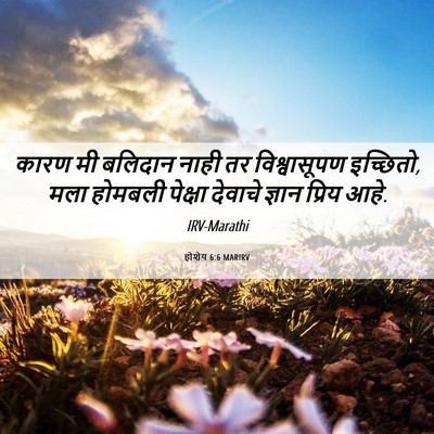 Picture 06 - होशेय 6:6 MARIRV - कारण मी बलिदान - Bible Verse Picture