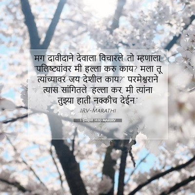 Picture 07 - 1 इतिहास 14:10 MARIRV - मग दावीदाने - Bible Verse Picture