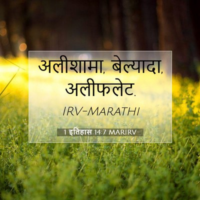 Picture 07 - 1 इतिहास 14:7 MARIRV - अलीशामा, बेल्यादा, - Bible Verse Picture