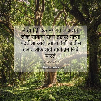 Picture 07 - 1 इतिहास 18:5 MARIRV - जेव्हा दिमिष्क - Bible Verse Picture