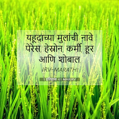 Picture 07 - 1 इतिहास 4:1 MARIRV - यहूदाच्या मुलांची - Bible Verse Picture