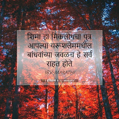 Picture 07 - 1 इतिहास 8:32 MARIRV - शिमा हा मिकलोथचा - Bible Verse Picture