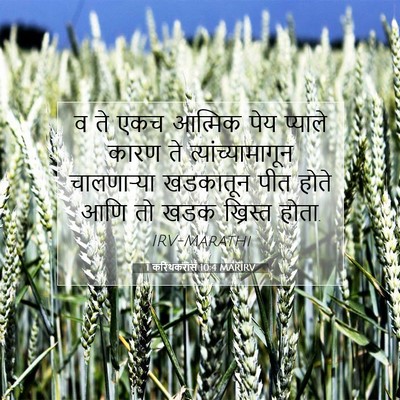 Picture 07 - 1 करिंथकरांस 10:4 MARIRV - व ते एकच आत्मिक पेय - Bible Verse Picture