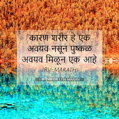 Picture 07 - 1 करिंथकरांस 12:14 MARIRV - कारण शरीर हे एक - Bible Verse Picture