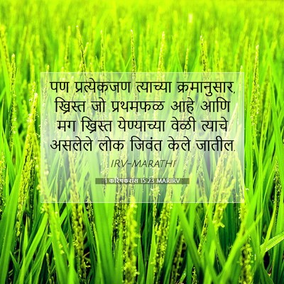 Picture 07 - 1 करिंथकरांस 15:23 MARIRV - पण प्रत्येकजण - Bible Verse Picture