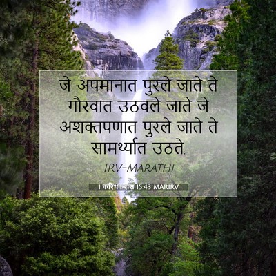 Picture 07 - 1 करिंथकरांस 15:43 MARIRV - जे अपमानात पुरले - Bible Verse Picture