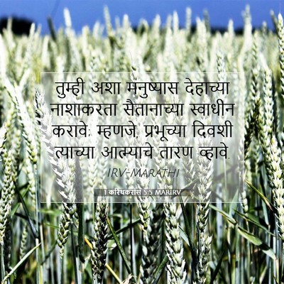 Picture 07 - 1 करिंथकरांस 5:5 MARIRV - तुम्ही अशा - Bible Verse Picture