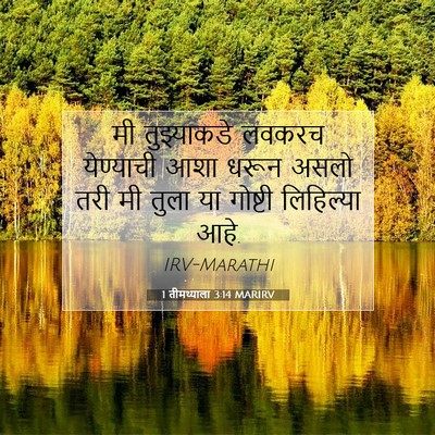 Picture 07 - 1 तीमथ्याला 3:14 MARIRV - मी तुझ्याकडे - Bible Verse Picture