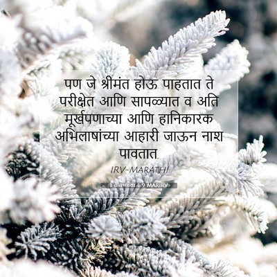 Picture 07 - 1 तीमथ्याला 6:9 MARIRV - पण जे श्रीमंत होऊ - Bible Verse Picture