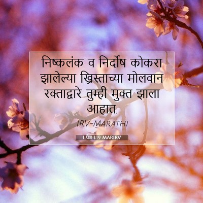 Picture 07 - 1 पेत्र 1:19 MARIRV - निष्कलंक व - Bible Verse Picture