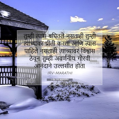 Picture 07 - 1 पेत्र 1:8 MARIRV - तुम्ही त्यास - Bible Verse Picture