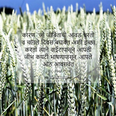 Picture 07 - 1 पेत्र 3:10 MARIRV - कारण, “जो जीविताची - Bible Verse Picture