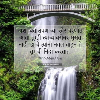 Picture 07 - 1 पेत्र 4:4 MARIRV - अशा बेतालपणाच्या - Bible Verse Picture