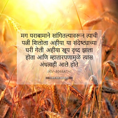 Picture 07 - 1 राजे 14:4 MARIRV - मग यराबामाने - Bible Verse Picture