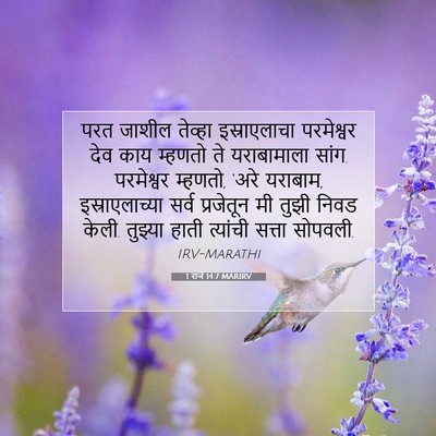 Picture 07 - 1 राजे 14:7 MARIRV - परत जाशील तेव्हा - Bible Verse Picture