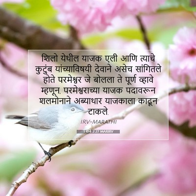 Picture 07 - 1 राजे 2:27 MARIRV - शिलो येथील याजक - Bible Verse Picture
