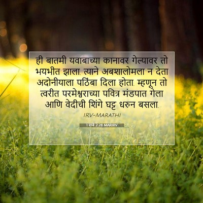 Picture 07 - 1 राजे 2:28 MARIRV - ही बातमी - Bible Verse Picture