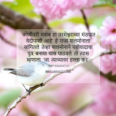 Picture 07 - 1 राजे 2:29 MARIRV - “कोणीतरी यवाब हा - Bible Verse Picture