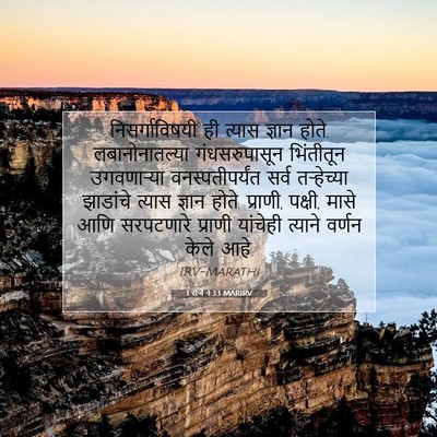Picture 07 - 1 राजे 4:33 MARIRV - निसर्गाविषयी ही - Bible Verse Picture
