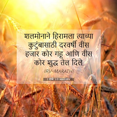 Picture 07 - 1 राजे 5:11 MARIRV - शलमोनाने हिरामला - Bible Verse Picture