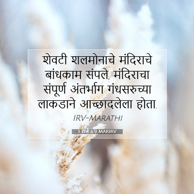 Picture 07 - 1 राजे 6:9 MARIRV - शेवटी शलमोनाचे - Bible Verse Picture