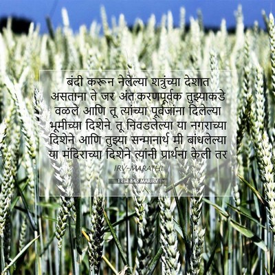 Picture 07 - 1 राजे 8:48 MARIRV - बंदी करून - Bible Verse Picture