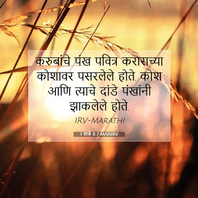 Picture 07 - 1 राजे 8:7 MARIRV - करुबांचे पंख - Bible Verse Picture