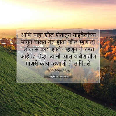 Picture 07 - 1 शमुवेल 11:5 MARIRV - आणि पाहा शौल - Bible Verse Picture