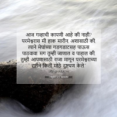 Picture 07 - 1 शमुवेल 12:17 MARIRV - आज गव्हाची कापणी - Bible Verse Picture
