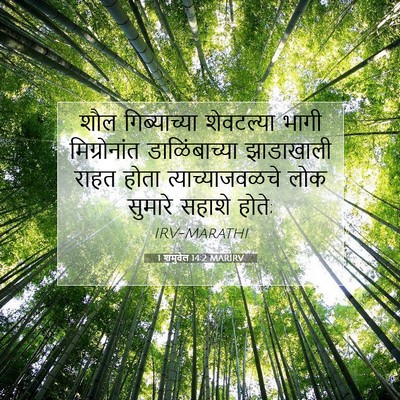 Picture 07 - 1 शमुवेल 14:2 MARIRV - शौल गिब्याच्या - Bible Verse Picture