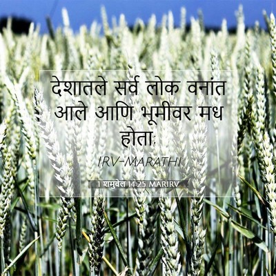 Picture 07 - 1 शमुवेल 14:25 MARIRV - देशातले सर्व लोक - Bible Verse Picture