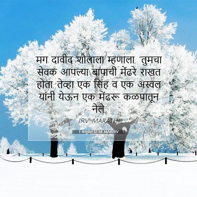 Picture 07 - 1 शमुवेल 17:34 MARIRV - मग दावीद शौलाला - Bible Verse Picture