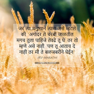 Picture 07 - 1 शमुवेल 2:16 MARIRV - जर त्या मनुष्याने - Bible Verse Picture