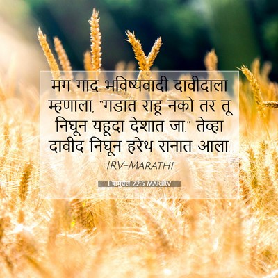 Picture 07 - 1 शमुवेल 22:5 MARIRV - मग गाद भविष्यवादी - Bible Verse Picture