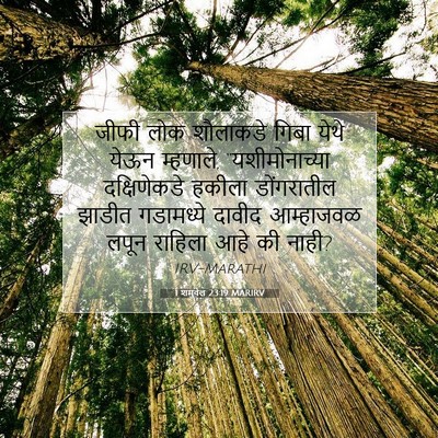 Picture 07 - 1 शमुवेल 23:19 MARIRV - जीफी लोक शौलाकडे - Bible Verse Picture
