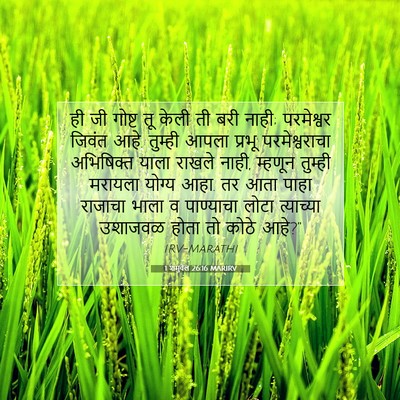 Picture 07 - 1 शमुवेल 26:16 MARIRV - ही जी गोष्ट तू केली - Bible Verse Picture