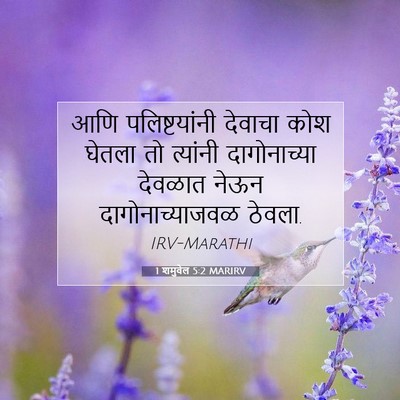 Picture 07 - 1 शमुवेल 5:2 MARIRV - आणि पलिष्टयांनी - Bible Verse Picture