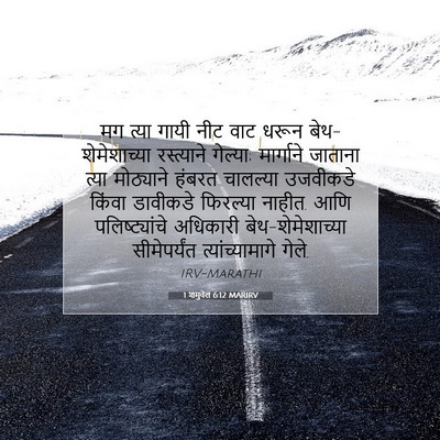 Picture 07 - 1 शमुवेल 6:12 MARIRV - मग त्या गायी नीट - Bible Verse Picture