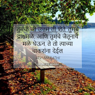 Picture 07 - 1 शमुवेल 8:14 MARIRV - तुमची जी उत्तम ती - Bible Verse Picture