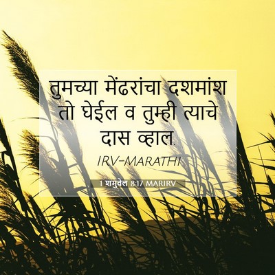 Picture 07 - 1 शमुवेल 8:17 MARIRV - तुमच्या मेंढरांचा - Bible Verse Picture
