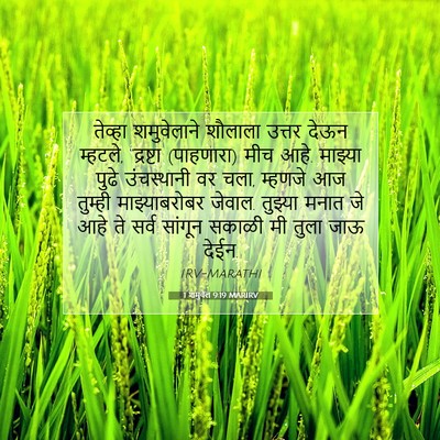 Picture 07 - 1 शमुवेल 9:19 MARIRV - तेव्हा शमुवेलाने - Bible Verse Picture