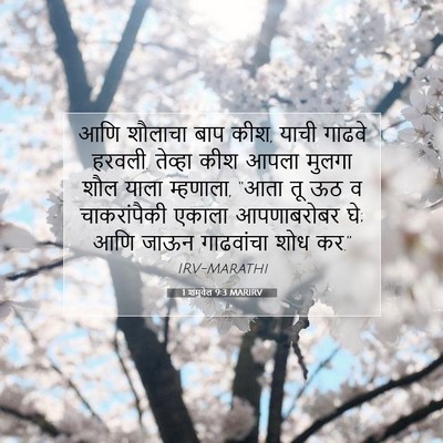 Picture 07 - 1 शमुवेल 9:3 MARIRV - आणि शौलाचा बाप कीश, - Bible Verse Picture
