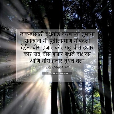Picture 07 - 2 इतिहास 2:10 MARIRV - लाकडांसाठी - Bible Verse Picture