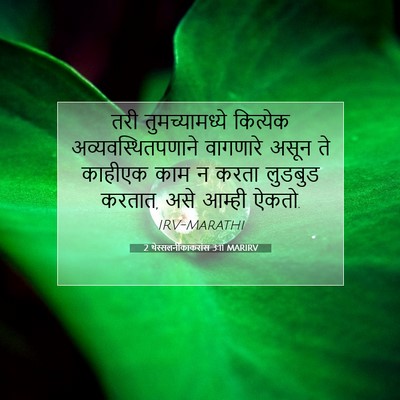Picture 07 - 2 थेस्सलनीकाकरांस 3:11 MARIRV - तरी तुमच्यामध्ये - Bible Verse Picture