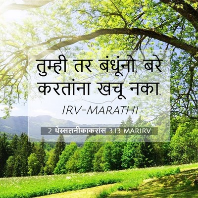 Picture 07 - 2 थेस्सलनीकाकरांस 3:13 MARIRV - तुम्ही तर बंधूंनो, - Bible Verse Picture