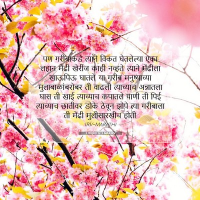 Picture 07 - 2 शमुवेल 12:3 MARIRV - पण गरीबाकडे - Bible Verse Picture