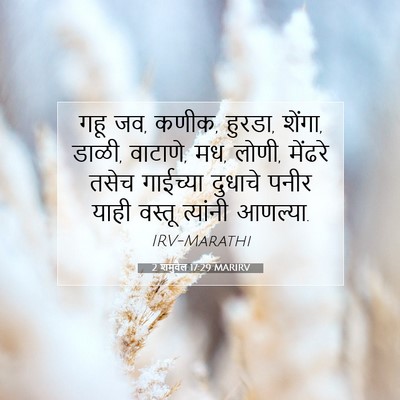 Picture 07 - 2 शमुवेल 17:29 MARIRV - गहू जव, कणीक, हुरडा, - Bible Verse Picture