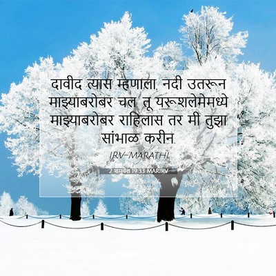 Picture 07 - 2 शमुवेल 19:33 MARIRV - दावीद त्यास - Bible Verse Picture